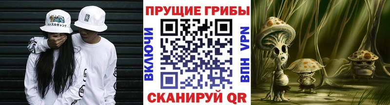 Галлюциногенные грибы мухоморы  Нязепетровск 